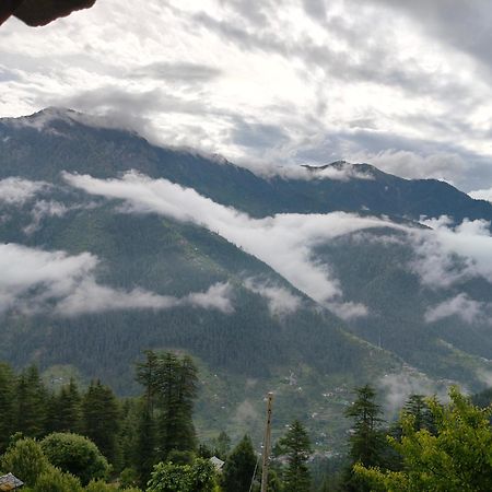 Forest View Cottage Jibhi Esterno foto