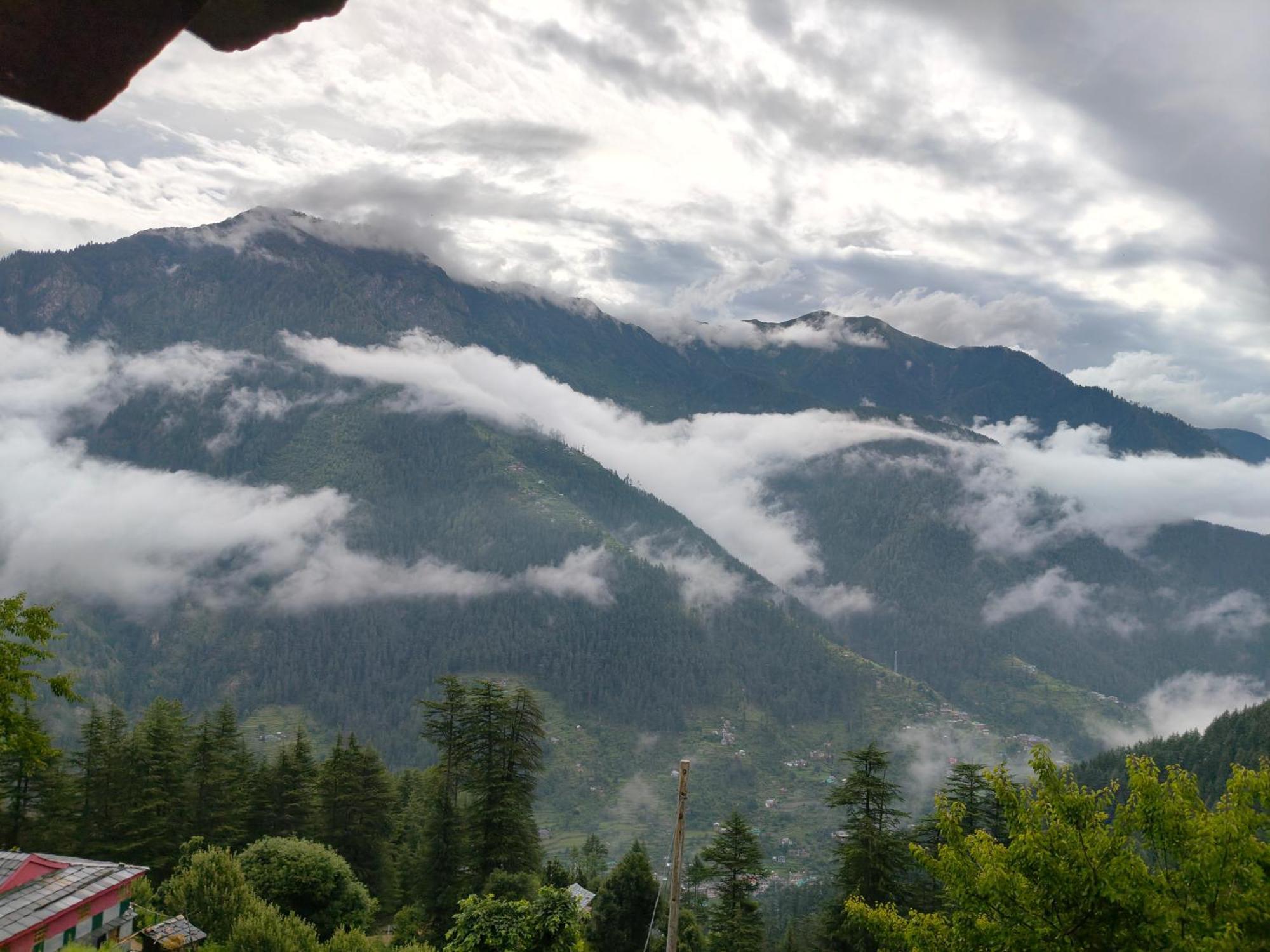 Forest View Cottage Jibhi Esterno foto