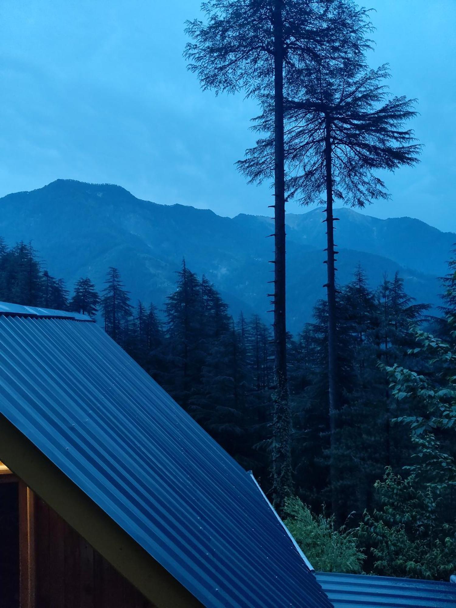 Forest View Cottage Jibhi Esterno foto