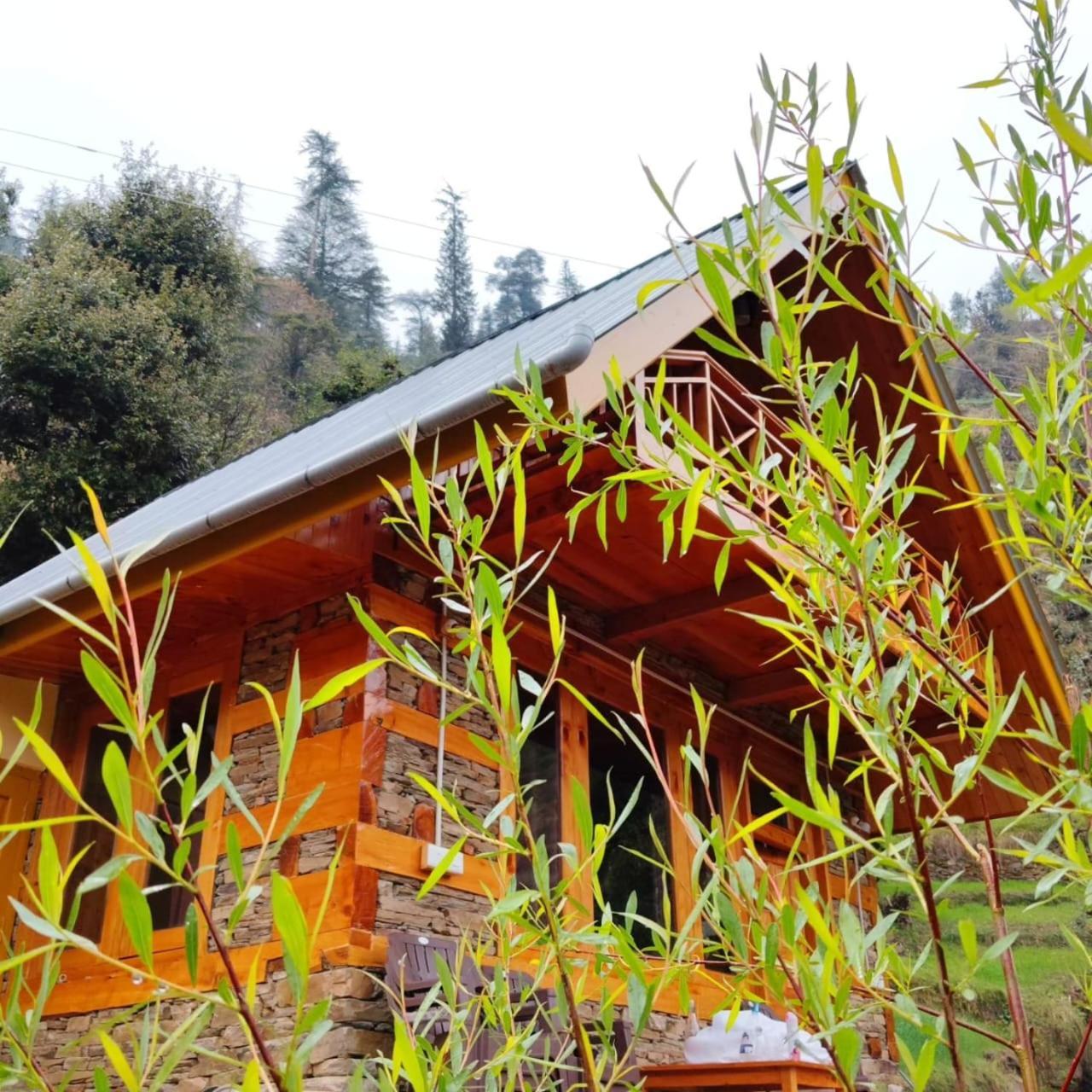 Forest View Cottage Jibhi Esterno foto