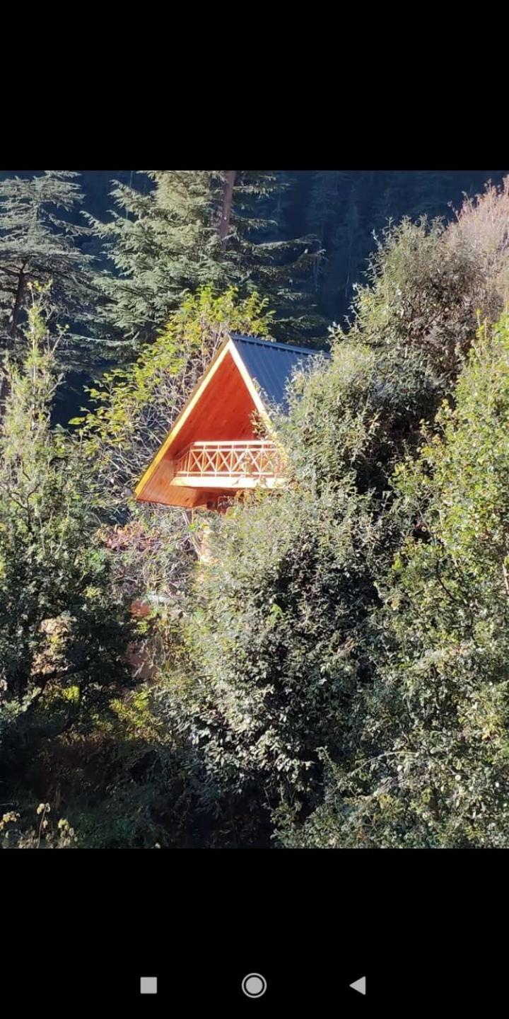 Forest View Cottage Jibhi Esterno foto